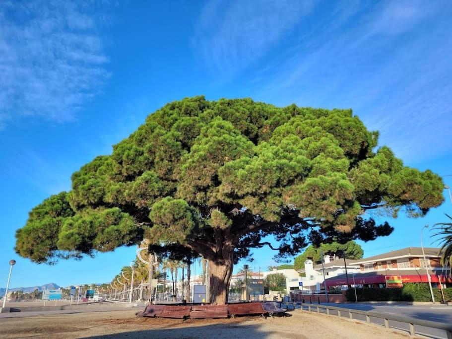 Appartamento Cambrils Dulces Suenos Esterno foto